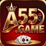 A55 Apk Game Online